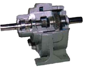 Gear Motor